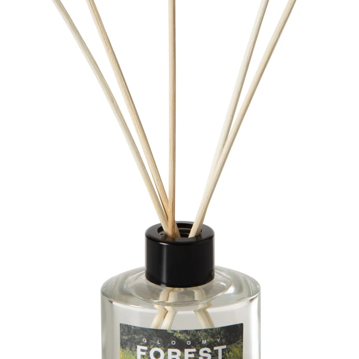 Gloomy Forest Oda Kokusu 95 ml